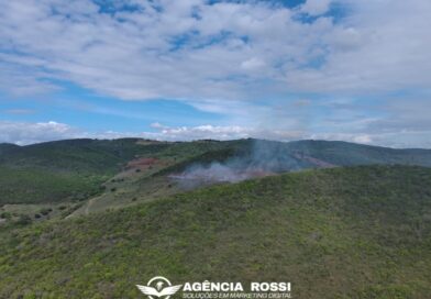 Vídeo Alerta Ambiental: imagens revelam a devastação da Mata da Caboronga em Ipirá