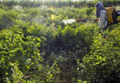 Campanha denuncia agronegócio por contaminações com uso de agrotóxicos