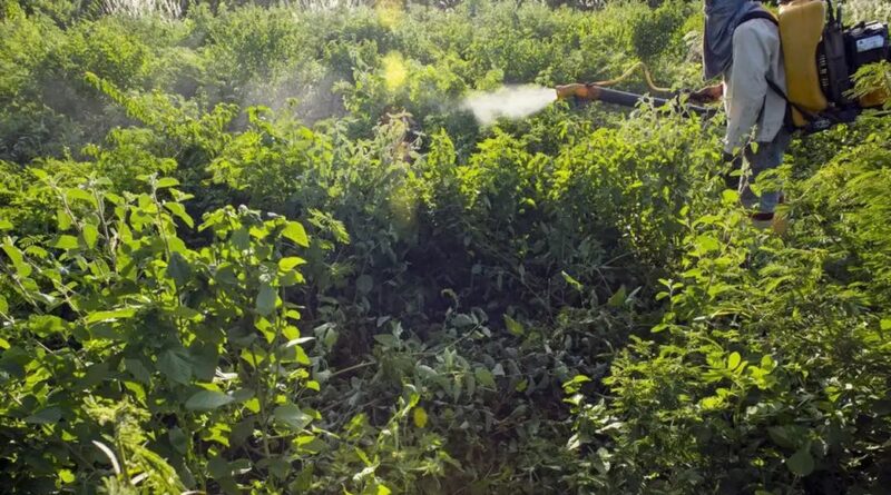 Campanha denuncia agronegócio por contaminações com uso de agrotóxicos