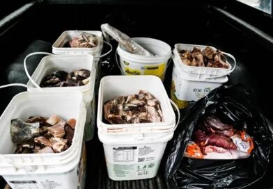 Vigilância apreende 430 kg de alimentos impróprios para consumo em cidade baiana